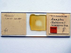 lameerei Htype s.JPG