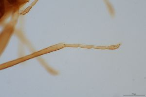 intermedia 'Type' 0-6.jpg