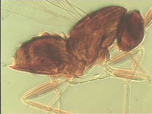 intermedia 'Type' 12.jpg