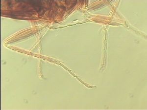 intermedia 'Type' 13.jpg