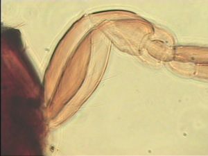 intermedia 'Type' 6.jpg