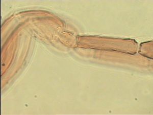 intermedia 'Type' 7.jpg