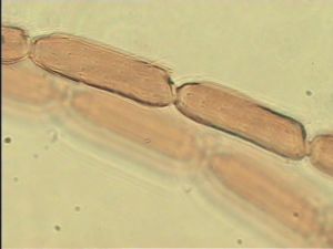 intermedia 'Type' 8.jpg