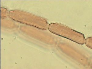 intermedia 'Type' 9.jpg