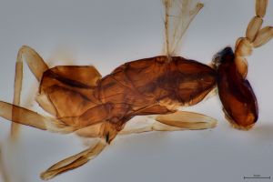 Th3633-0-4-1 HDR.jpg