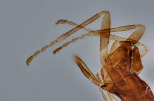 Th3633-0-5-1 HDR.jpg