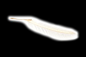 creber Htype 0-8.png