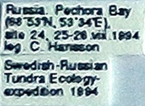 creber Htype s-1.png