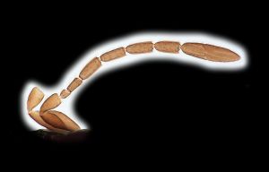 lameerei Htype 0-2.png