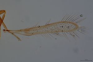 Th3584-0-2-1 HDR.jpg