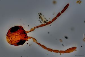 Th3548-0-1-1 HDR.jpg