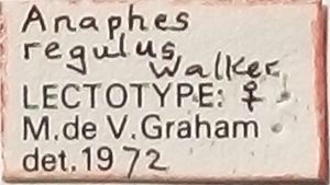 regulus Walker Ltype L1.png