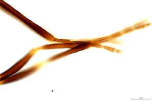 Th1530-0-4 M1=M2 !.jpg