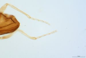 Th3287-0-8 másolata.jpg