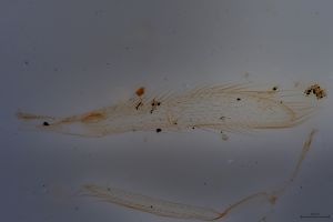 Th3617-0-3-1 HDR.jpg